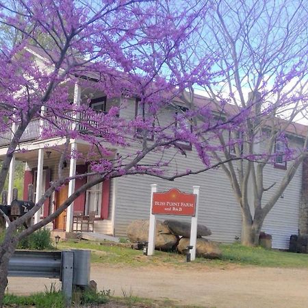 Bliss Point Farm And B&B, Llc Earlysville Esterno foto