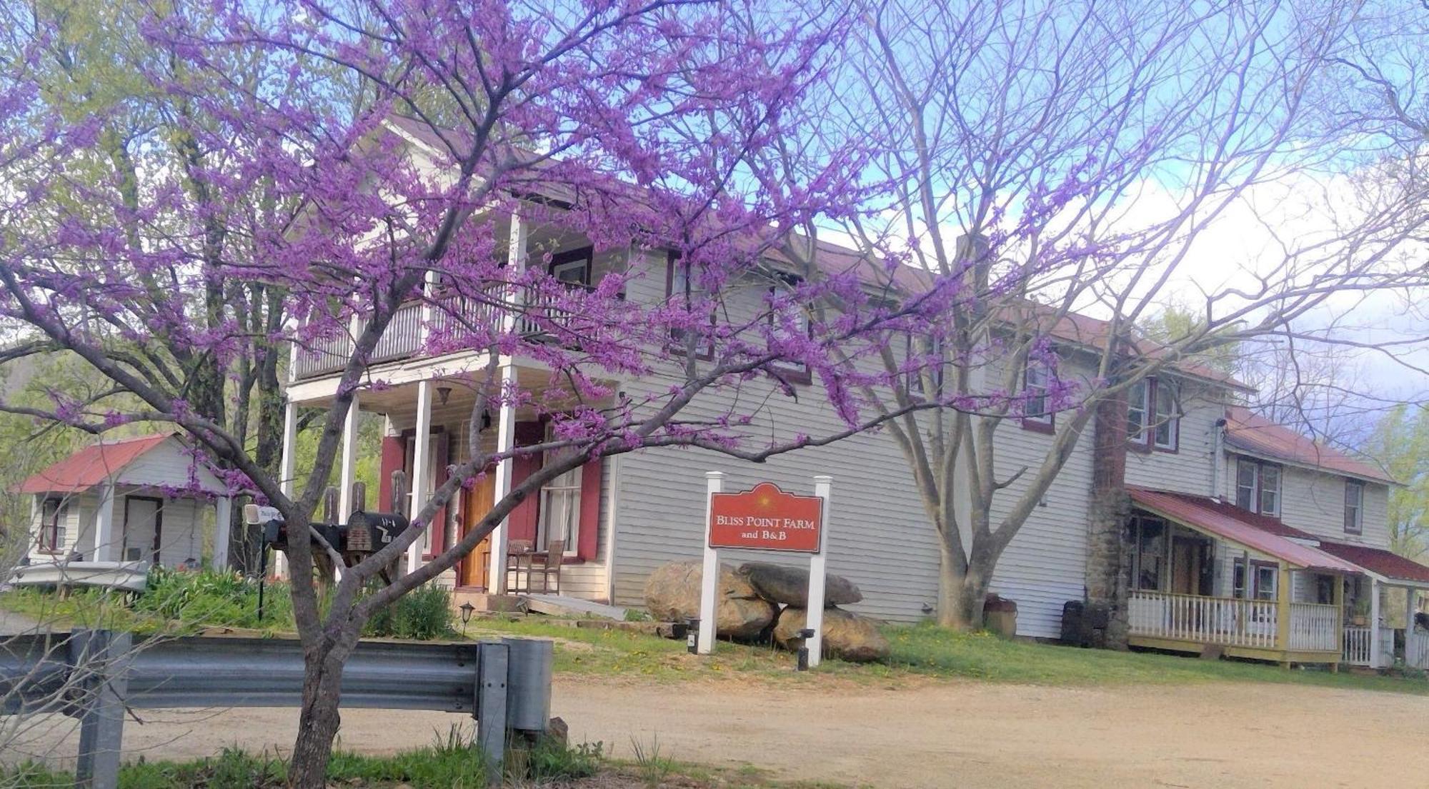 Bliss Point Farm And B&B, Llc Earlysville Esterno foto