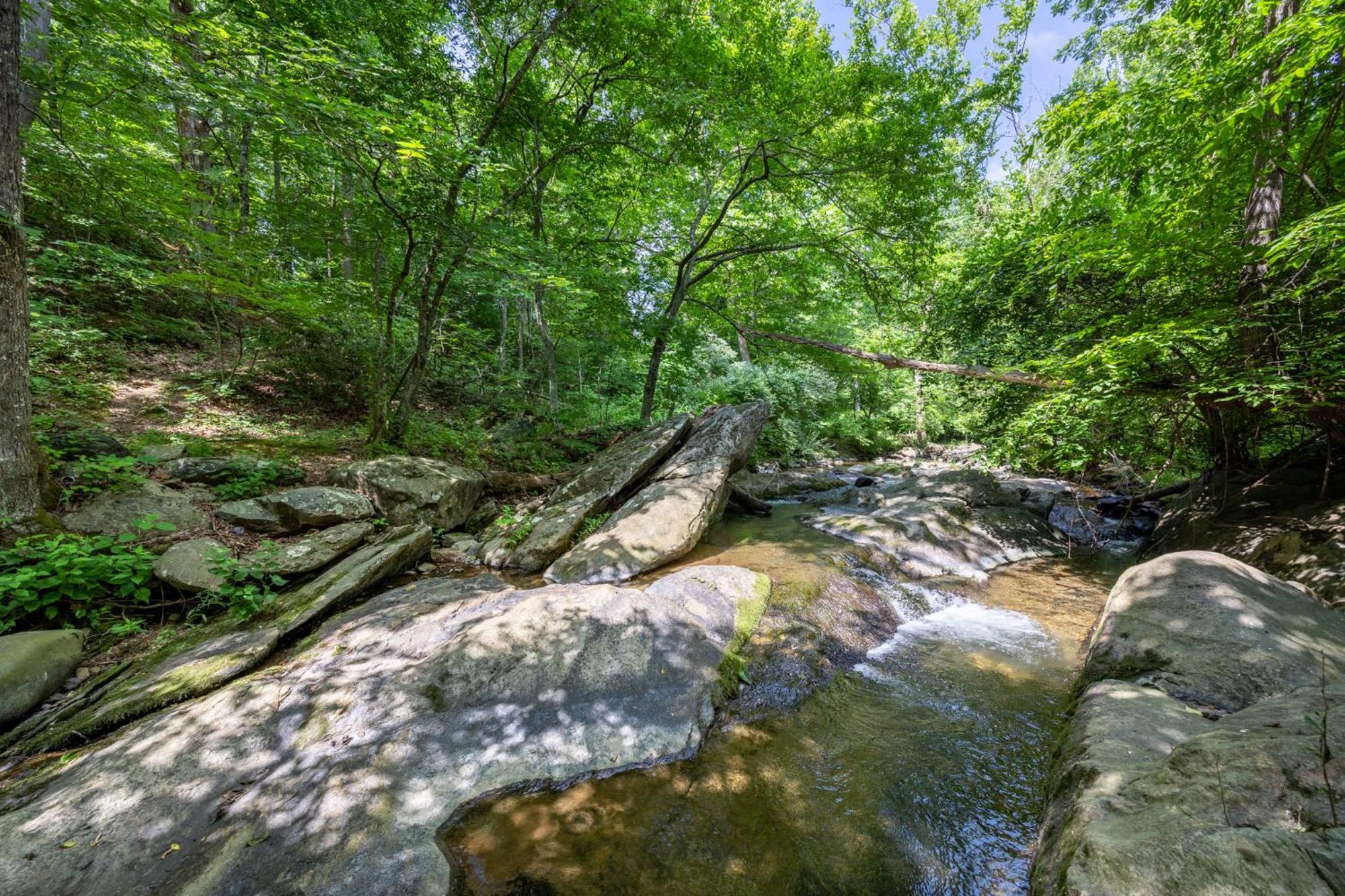 Bliss Point Farm And B&B, Llc Earlysville Esterno foto